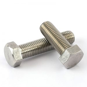 Stainless Steel Hexagon Bolt